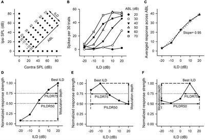 Unilateral Conductive Hearing Loss Disrupts the Developmental Refinement of Binaural Processing in the Rat Primary Auditory Cortex